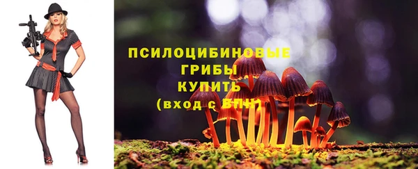стаф Баксан