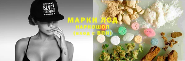 стаф Баксан