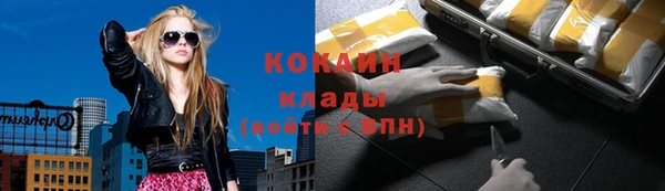 стаф Баксан