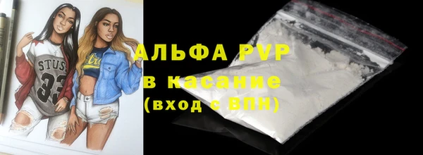 стаф Баксан