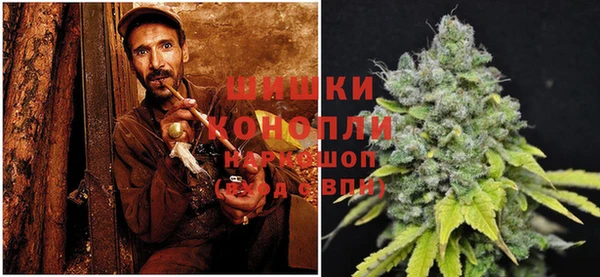 стаф Баксан
