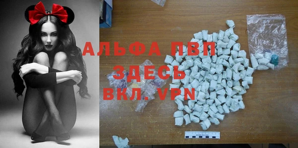 стаф Баксан